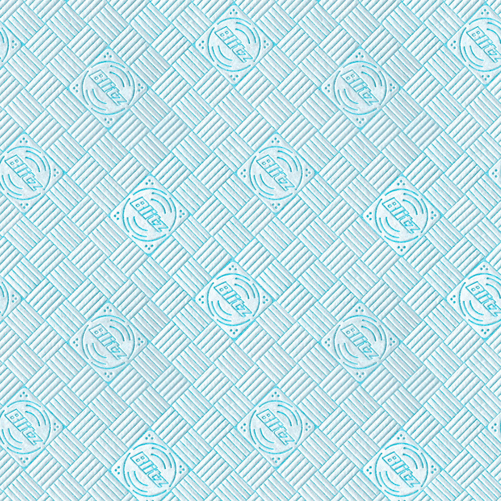 REGINA - BLITZ ROTOLONE ASCIUGATUTTO MAXI - 100 FOGLI